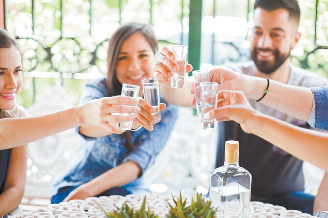 Authentic Ancestral and Artisanal Mezcal & Tequila Tasting - Accessibility and Participation