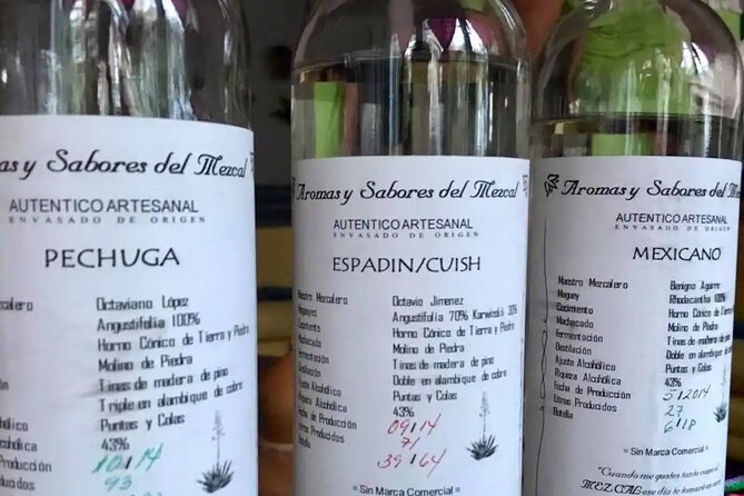 Authentic Ancestral and Artisanal Mezcal & Tequila Tasting - Pairing Spirits With Snacks