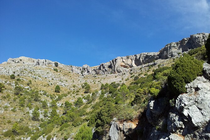 Authentic Andalusia - Jeep Eco Tour (Pick up From Marbella - Estepona) - River Swimming (Seasonal)