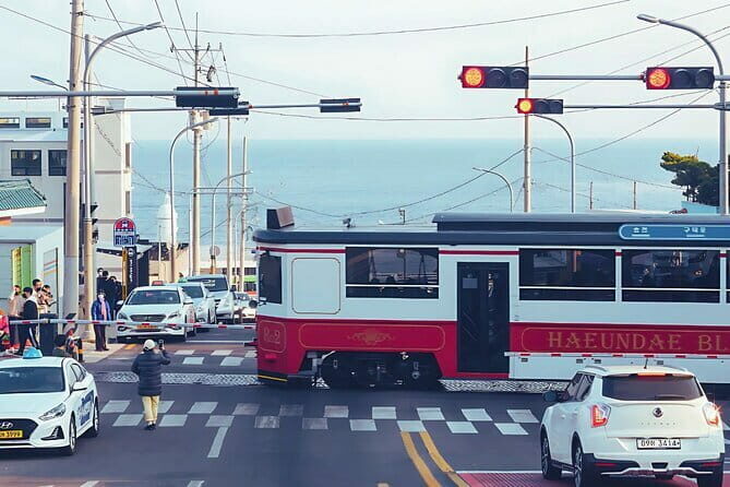 Authentic Busan Full-Day City Highlights Tour - Key Points