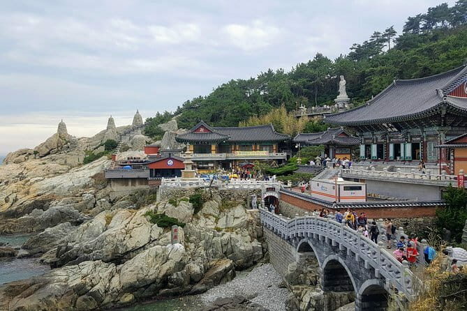 Authentic Busan Full-Day City Highlights Tour - Final Thoughts: Who Will Love This Tour?