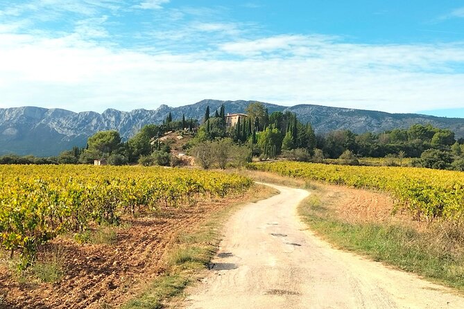 Authentic Countryside: Winery, Pétanque Apéro & Villages (Private) - Group Experience and Reviews