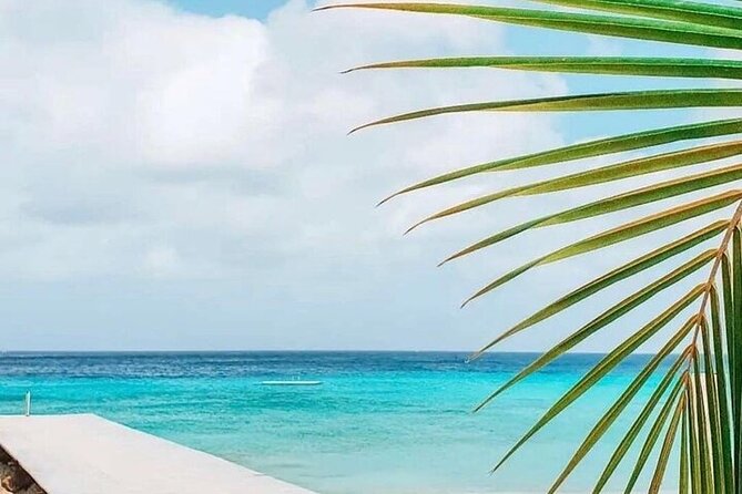 Authentic Curacao : Private Full Island Tour - Included Experiences