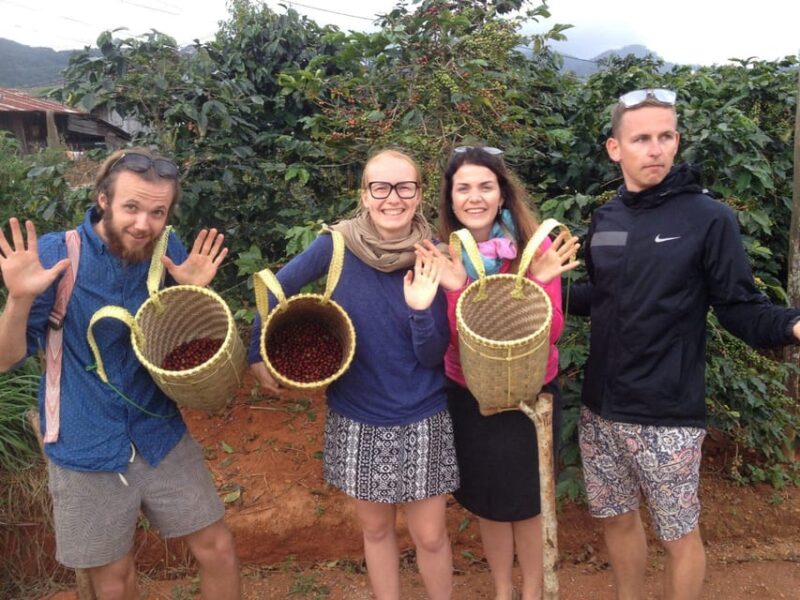 Authentic Dalat Coffee Experience & Countryside Highlights - Coffee Experience