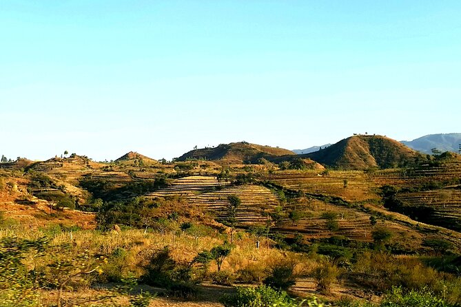 Authentic Experience and Adventure - Indulging in Authentic Cuisine