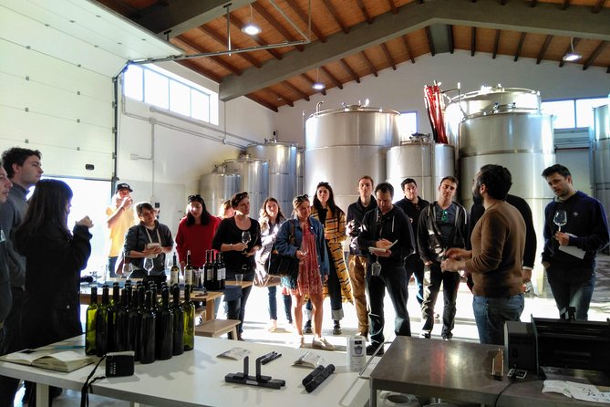 Authentic Experience in Organic Winery - Suitability for Pregnant Travelers