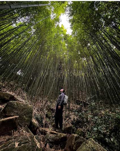Authentic Experience,BambooForest,Waterfall ,LESS TOURIST - Supporting Local Women and Children