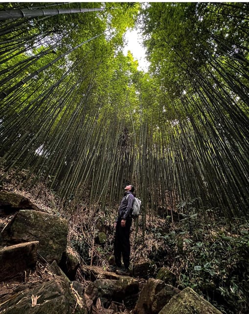 Authentic Experience,BambooForest,Waterfall ,LESS TOURIST - Key Points