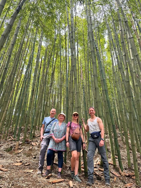 Authentic Experience,BambooForest,Waterfall ,LESS TOURIST - Customer Reviews and Ratings