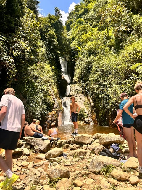 Authentic Experience,BambooForest,Waterfall ,LESS TOURIST - Recap