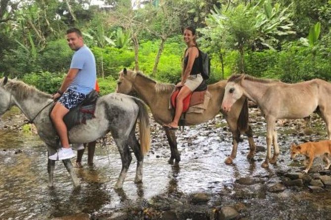 Authentic Fijian Day Tour - Health and Safety Requirements