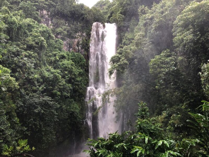 Authentic Hana Tour (Luxury SUV 7 Passenger) - Food and Refreshments