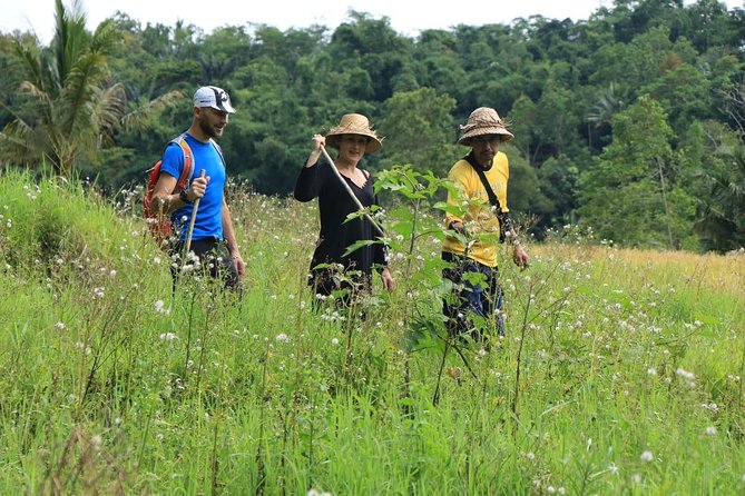 Authentic Hike in the Forest With Lunch at the Inhabitant - Hiking Through Rice Terraces