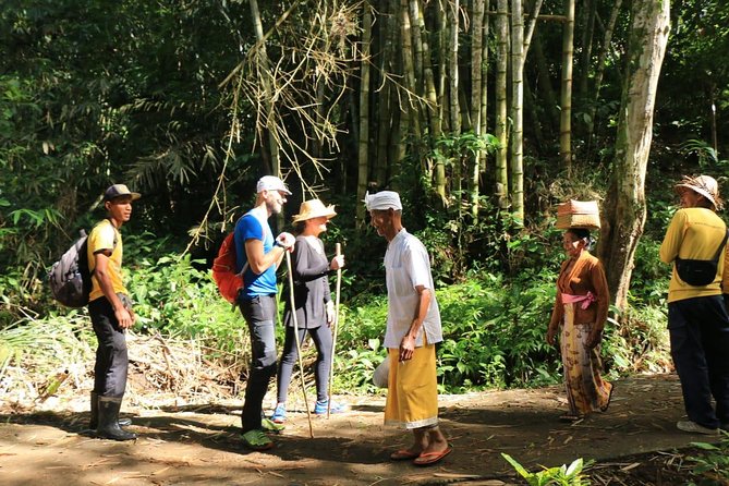 Authentic Hike in the Forest With Lunch at the Inhabitant - Experiencing Local Culture and Nature
