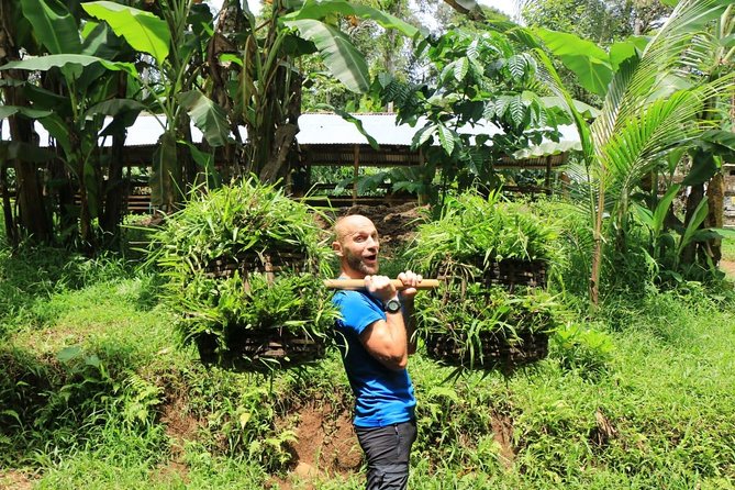 Authentic Hike in the Forest With Lunch at the Inhabitant - Roundtrip Transfer and Pickup Times