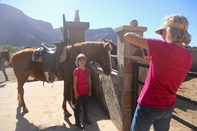 Authentic Horseback Riding in Beautiful La Mision - Customer Feedback