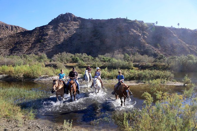 Authentic Horseback Riding in Beautiful La Mision - Scenic Trails and Ranch Animals