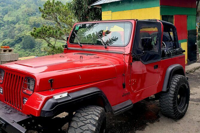 Authentic Jamaica: A Local's Guide Tour - Final Words