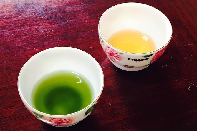 Authentic Japanese Tea Tasting at a Tea Plantation in Shimada - Discovering the Sakyo Botanical Garden
