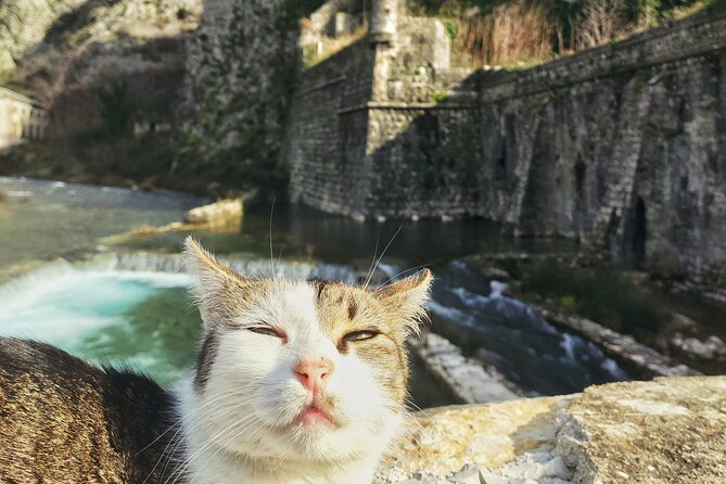 Authentic Kotor Old Town Walking Tour - Highlights of the Walking Tour