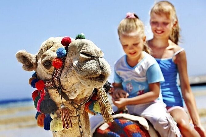 Authentic Luxury Private Tour of Tangier From Cadiz All Inclusive - Guide and Communication
