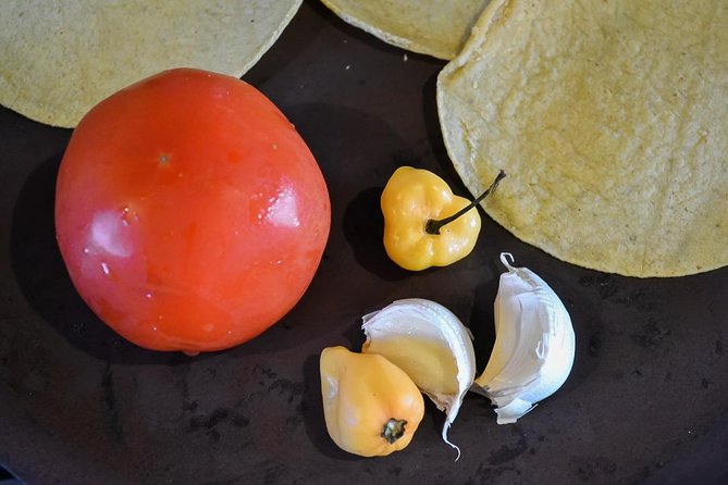 Authentic Mexican Cooking Class in Playa Del Carmen - Participant Feedback Highlights