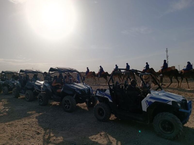 Authentic Package Buggy Bike Camel Ride, Dinner Show & Dance - Awe-Inspiring Atlas Mountain Landscapes