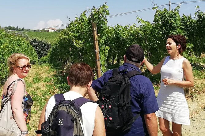 Authentic Piedmont Wine Tour With a Local Sommelier - Key Points