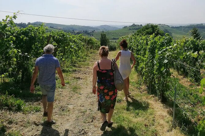 Authentic Piedmont Wine Tour With a Local Sommelier - Contact Information