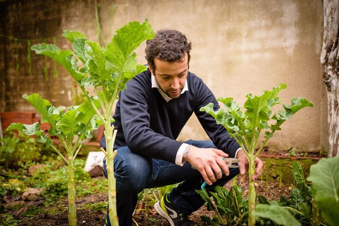 Authentic Portuguese Cooking Class and Dinner in a Lisbon Home - Fresh, Organic Ingredients