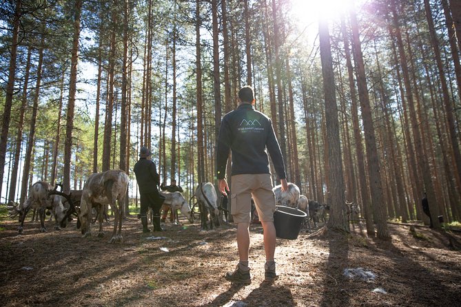 Authentic Reindeer Farm and Canoe Experience From Rovaniemi. - Suitability and Accessibility