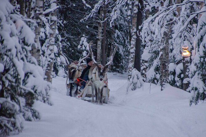 Authentic Reindeer Farm Experience in Rovaniemi - Outdoor Guide for Immersive Experience