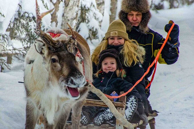 Authentic Reindeer Farm Experience in Rovaniemi - Coffee and Tea Refreshments Included