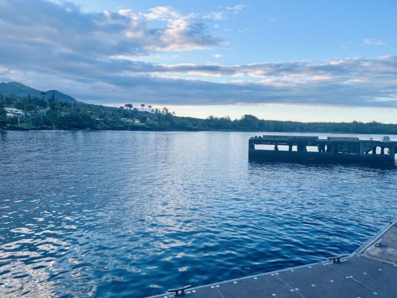 Authentic Road To Hana Tour (Private) - Tour Experience and Highlights