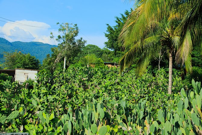 Authentic Rural Mexican Experience Adventure - Booking and Cancellation