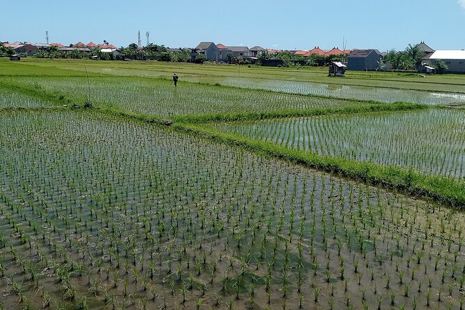 Authentic Sanur Village E-bike Tour - Guided Tour