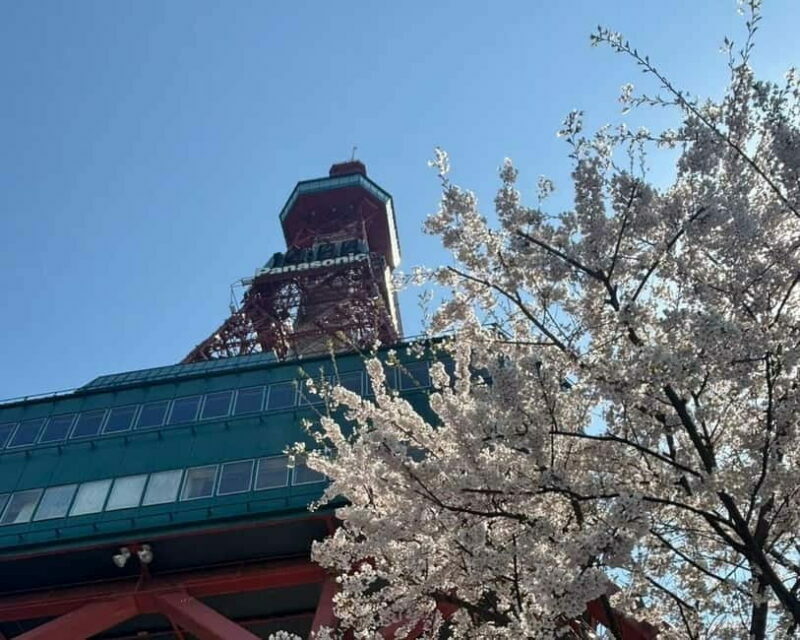 Authentic Sapporo: Nijo Market Seafood Lunch & History Tour - FAQs
