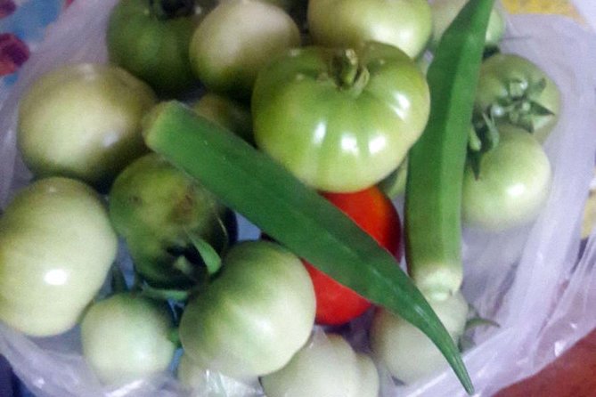 Authentic South Indian Cooking Class and Vegetarian Meal With a Local in Chennai - Hands-on Cooking Workshop