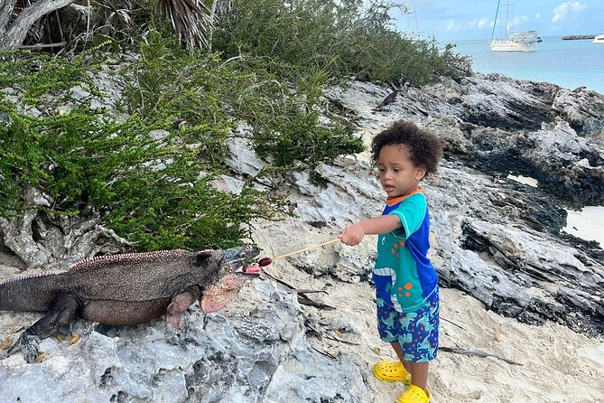 *Authentic Swimming Pigs Tour*Shark Encounter*Feed Iguanas* - Meeting and Pickup