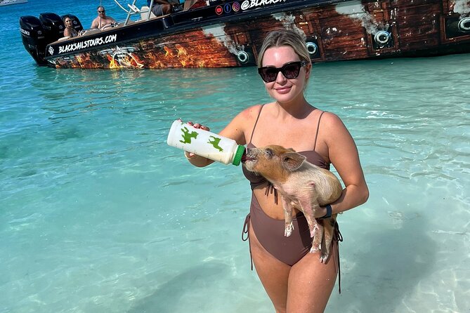 *Authentic Swimming Pigs Tour*Shark Encounter*Feed Iguanas* - Boat Features
