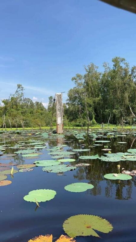 Authentic Tan Lap Floating Village Mekong Delta Private Tour - Inclusions and Pricing