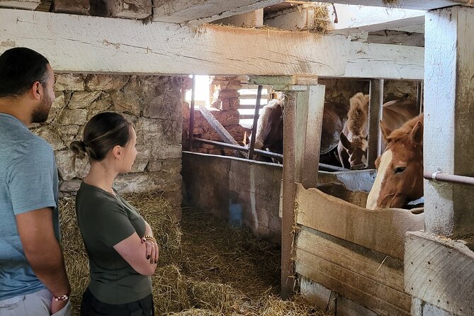 Authentic Tour & Meal With the Amish! - Guides Insights on Amish Culture