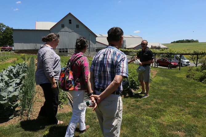Authentic Tour & Meal With the Amish! - Meeting Point and Transportation