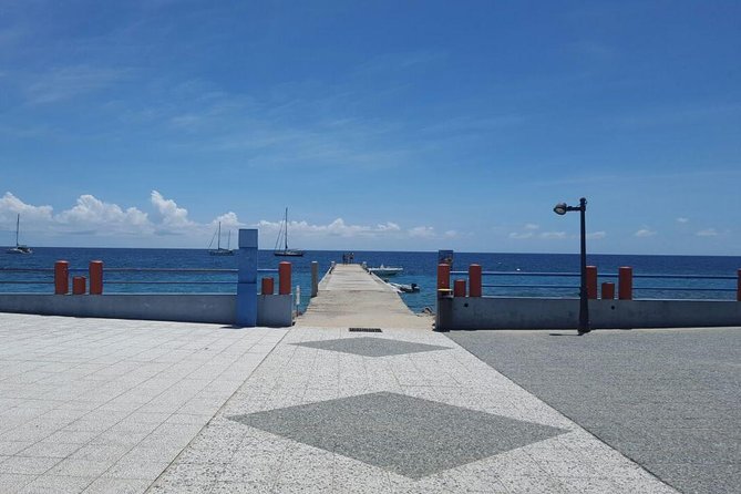 Authentic Tour of Southern Martinique - Guest Experiences