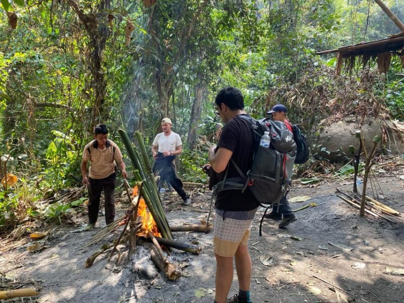 Authentic Trek Only Walk in Chiang Rai Jungle - Discover Tea Plantation Secrets