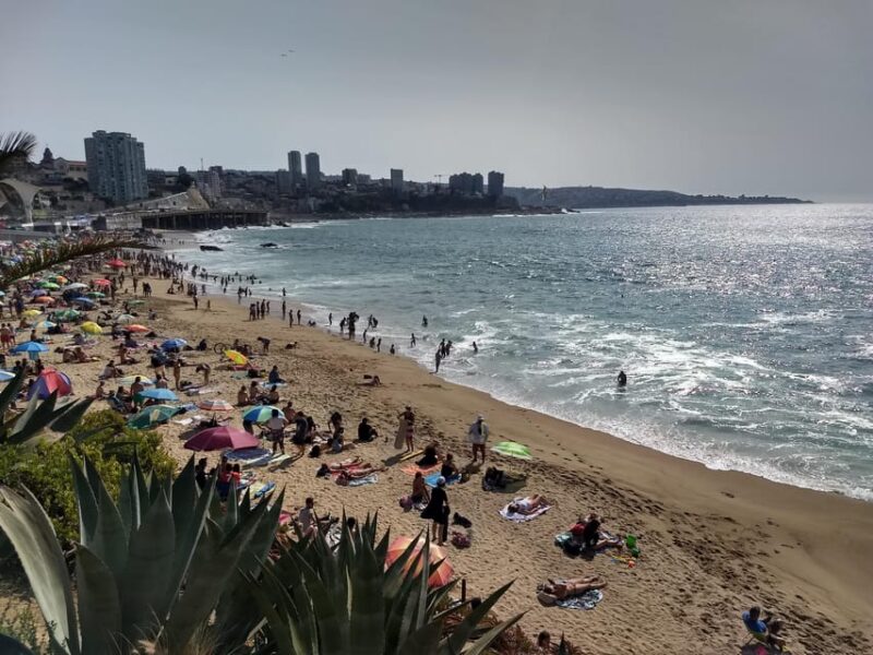 Authentic Viña Del Mar: the Garden City - Taking in the Citys History