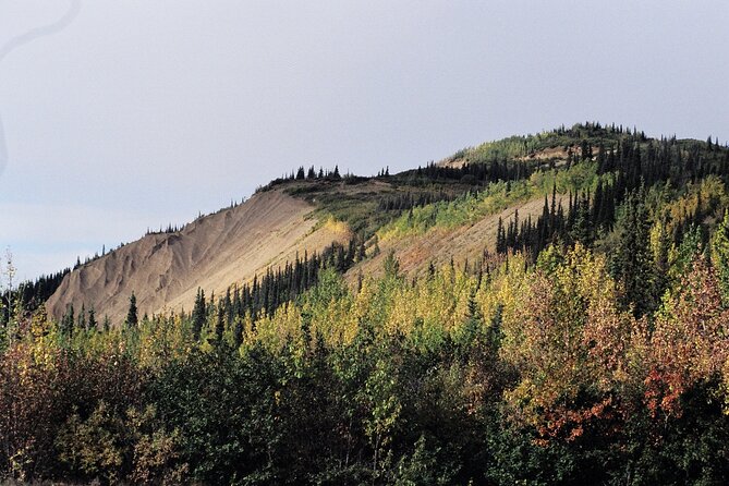 Authentical Denali Tour From Denali Park and Fairbanks - Recap