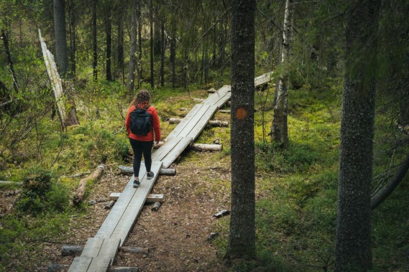 Auttiköngäs Hiking Experience - Activity Overview