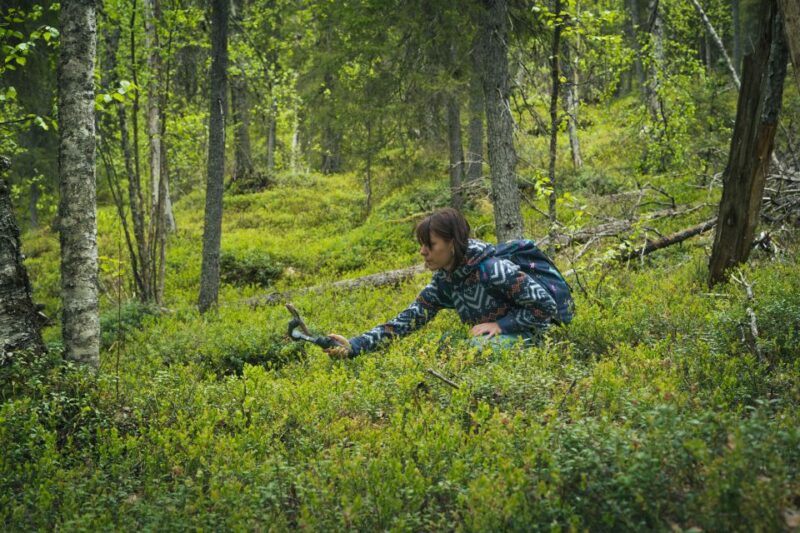 Auttiköngäs Hiking Experience - Inclusions