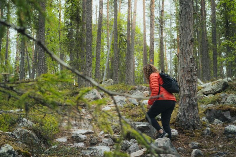 Auttiköngäs Hiking Experience - Participant Information